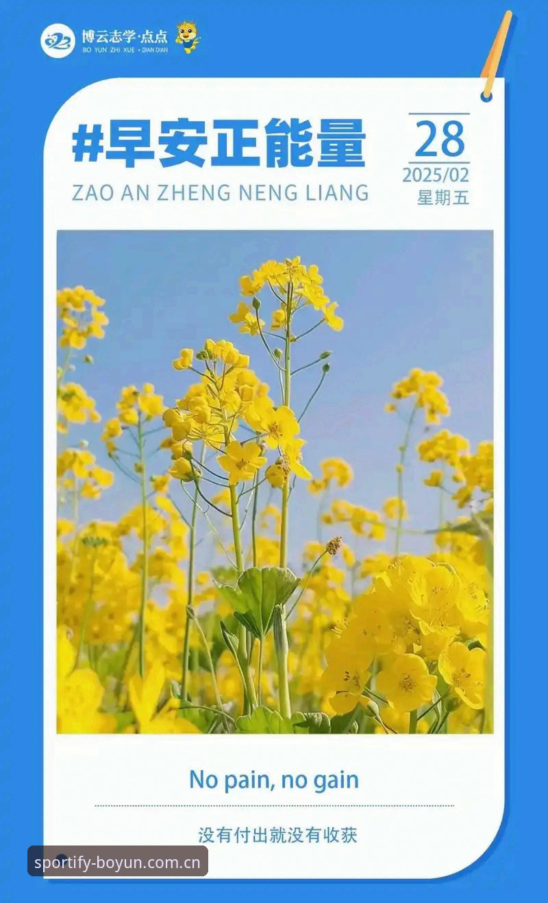 博云体育安卓2025版使用技巧全面解析：从安装到高效体验的深度评测
